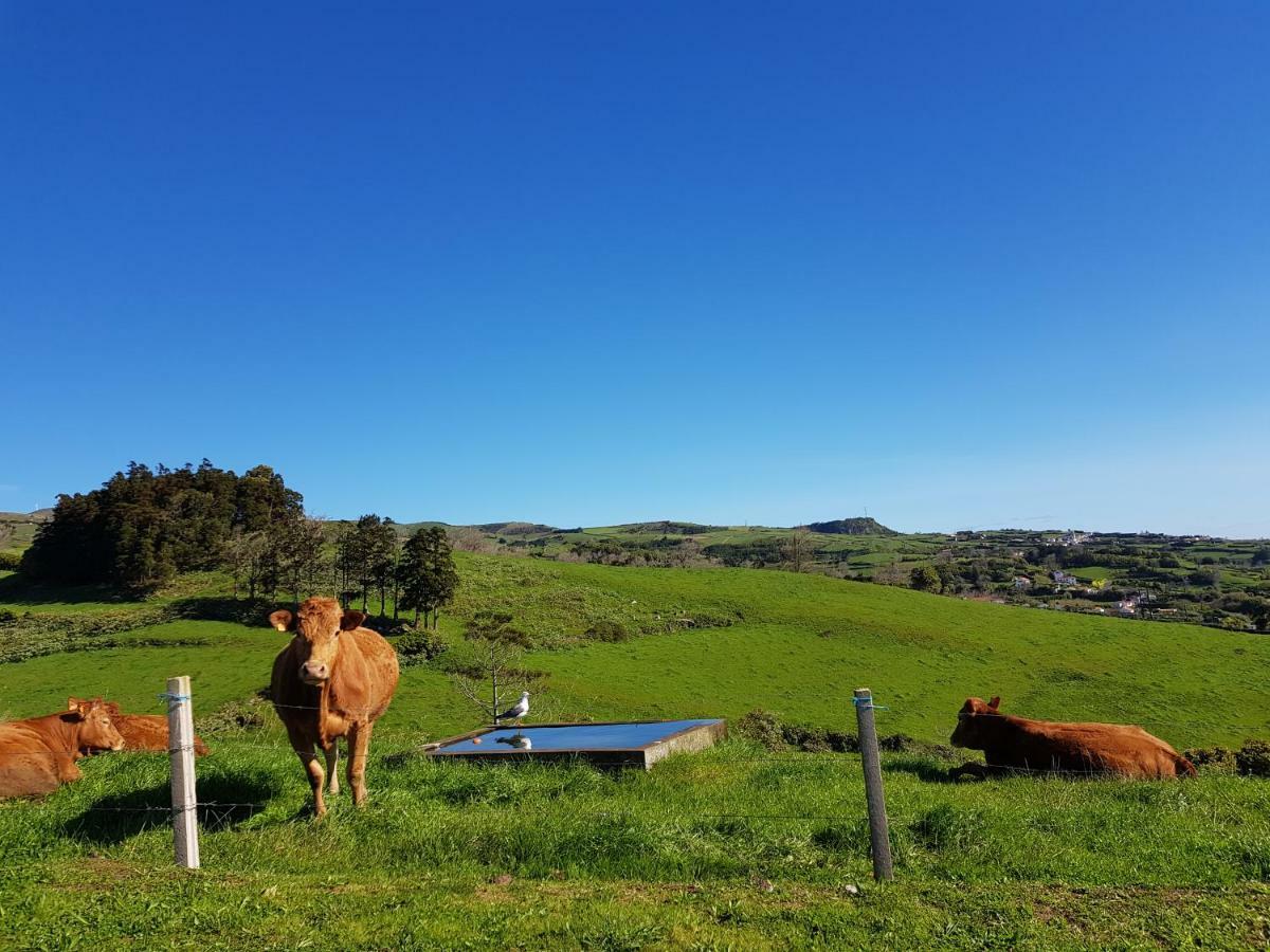 Quinta Do Calvario Lajes das Flores Екстер'єр фото